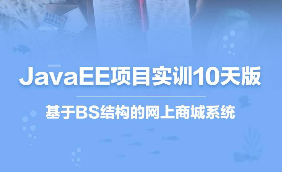 JavaEE项目实训10