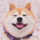 就业班头像