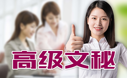 高级文秘从入门到精通(保险)