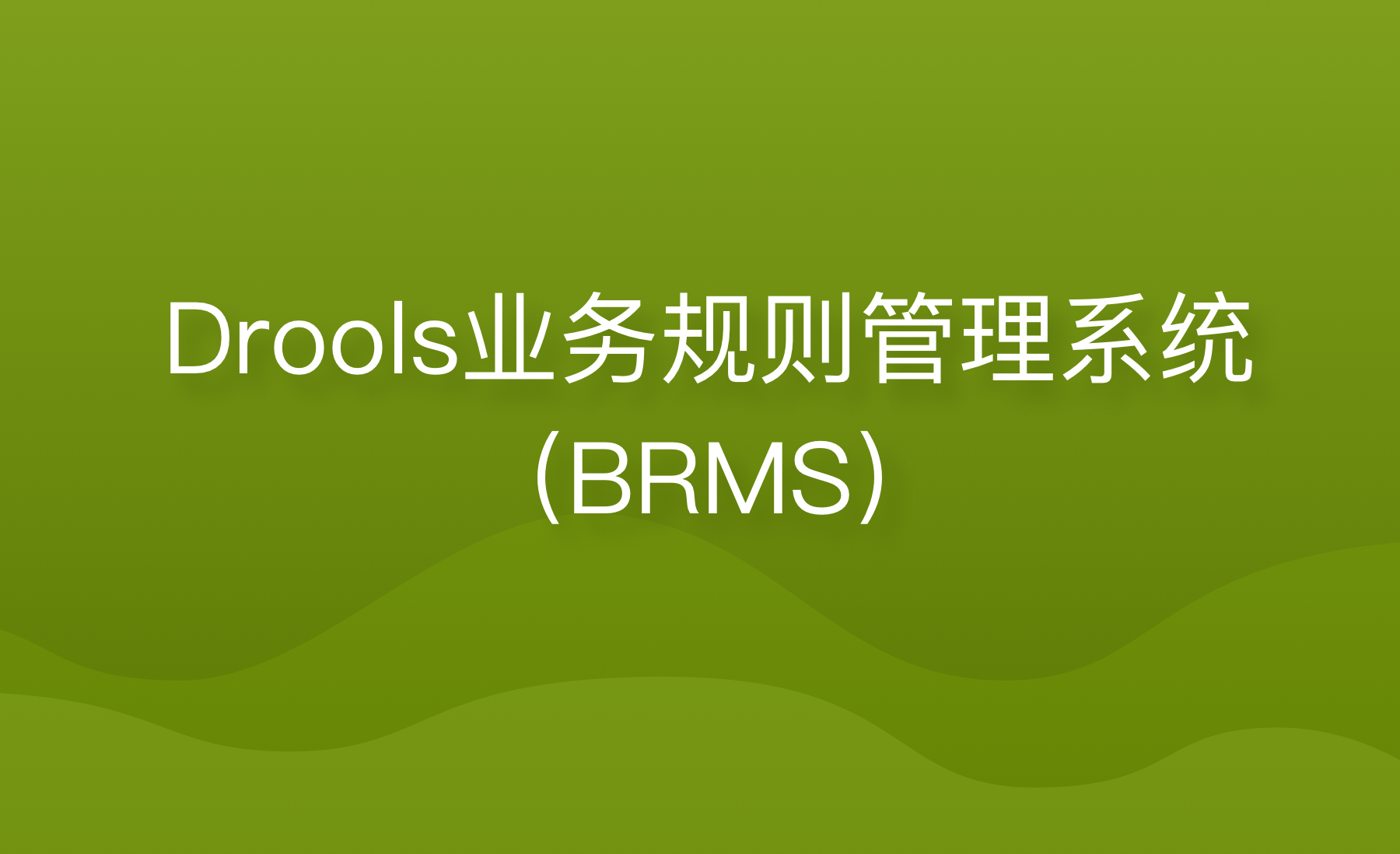 Drools业务规则管理系统（BRMS）