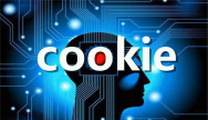百度cookie使用方法分析
