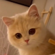 就业班头像