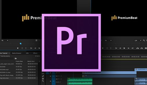 pr剪辑实战项目教程