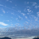 就业班头像