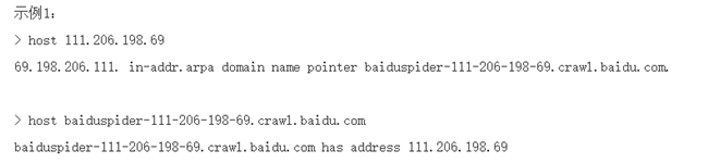 对域名运行正向DNS查找示例